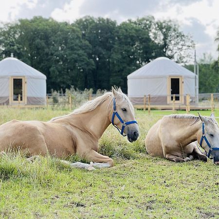 Magnolia Hoeve - Unieke Bestemming Voor Paardenliefhebbers En Bijzondere Overnachtingen In De Natuur Ledeacker 外观 照片