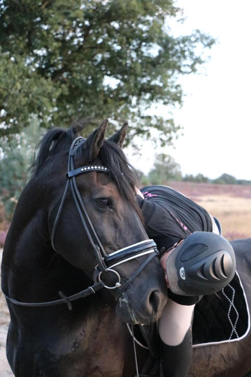 Magnolia Hoeve - Unieke Bestemming Voor Paardenliefhebbers En Bijzondere Overnachtingen In De Natuur Ledeacker 外观 照片