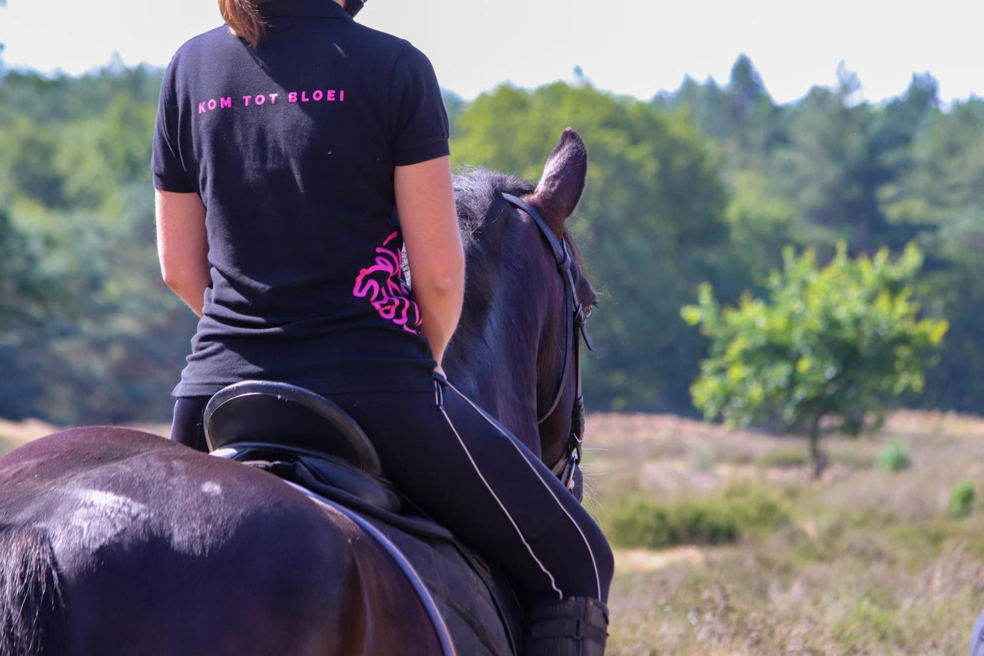Magnolia Hoeve - Unieke Bestemming Voor Paardenliefhebbers En Bijzondere Overnachtingen In De Natuur Ledeacker 外观 照片