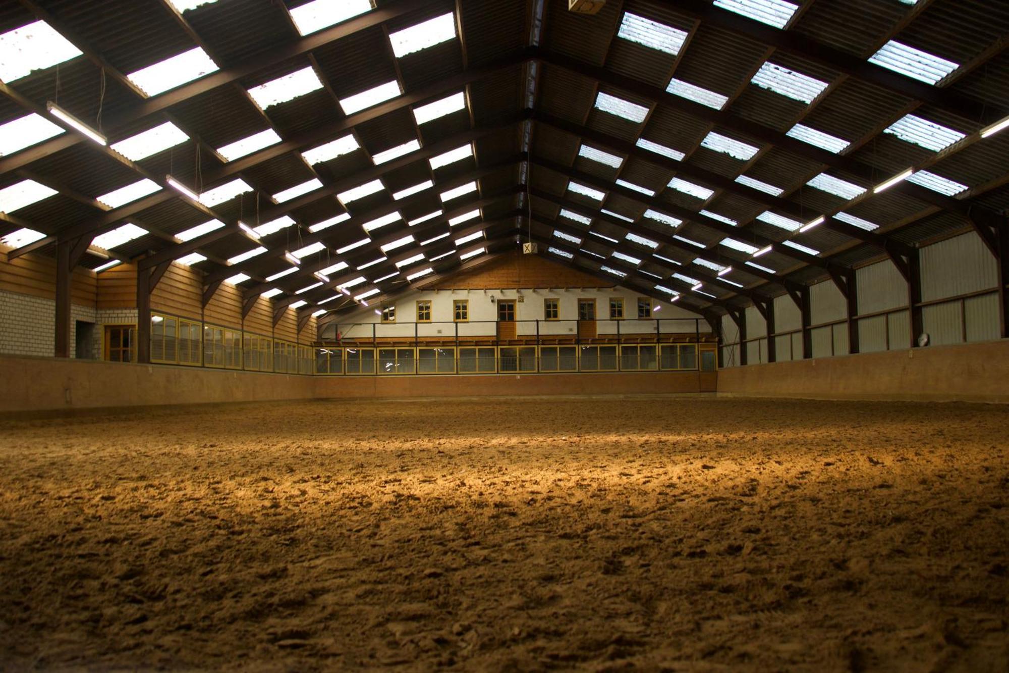 Magnolia Hoeve - Unieke Bestemming Voor Paardenliefhebbers En Bijzondere Overnachtingen In De Natuur Ledeacker 外观 照片