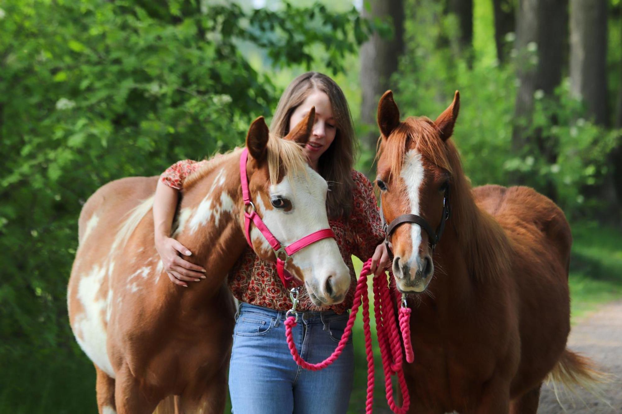 Magnolia Hoeve - Unieke Bestemming Voor Paardenliefhebbers En Bijzondere Overnachtingen In De Natuur Ledeacker 外观 照片