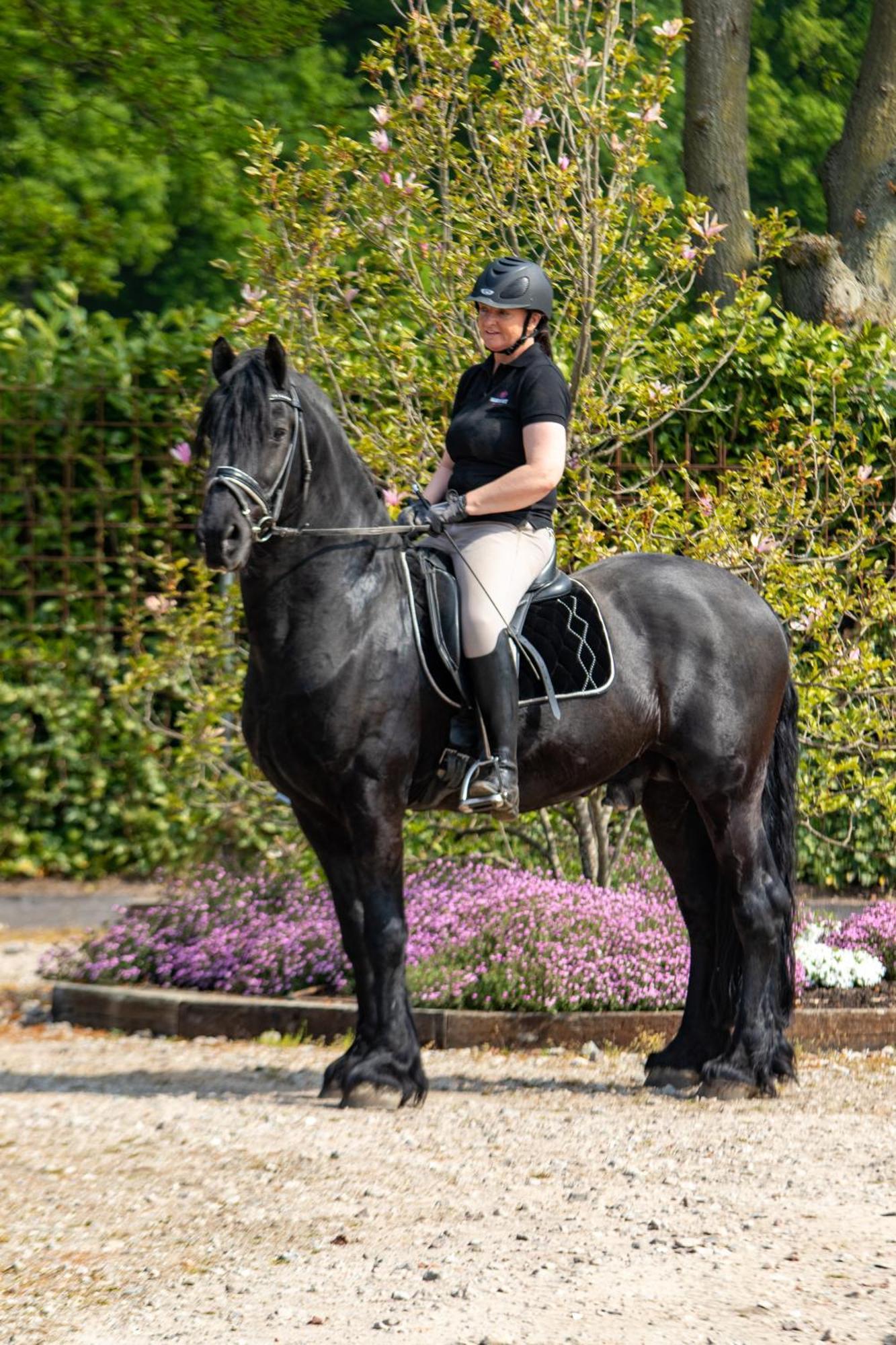 Magnolia Hoeve - Unieke Bestemming Voor Paardenliefhebbers En Bijzondere Overnachtingen In De Natuur Ledeacker 外观 照片