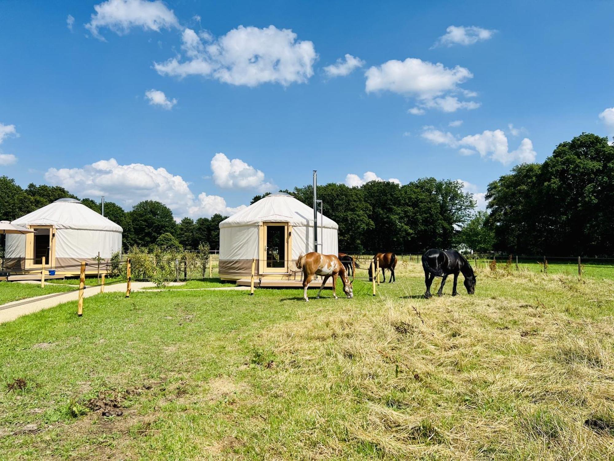 Magnolia Hoeve - Unieke Bestemming Voor Paardenliefhebbers En Bijzondere Overnachtingen In De Natuur Ledeacker 外观 照片