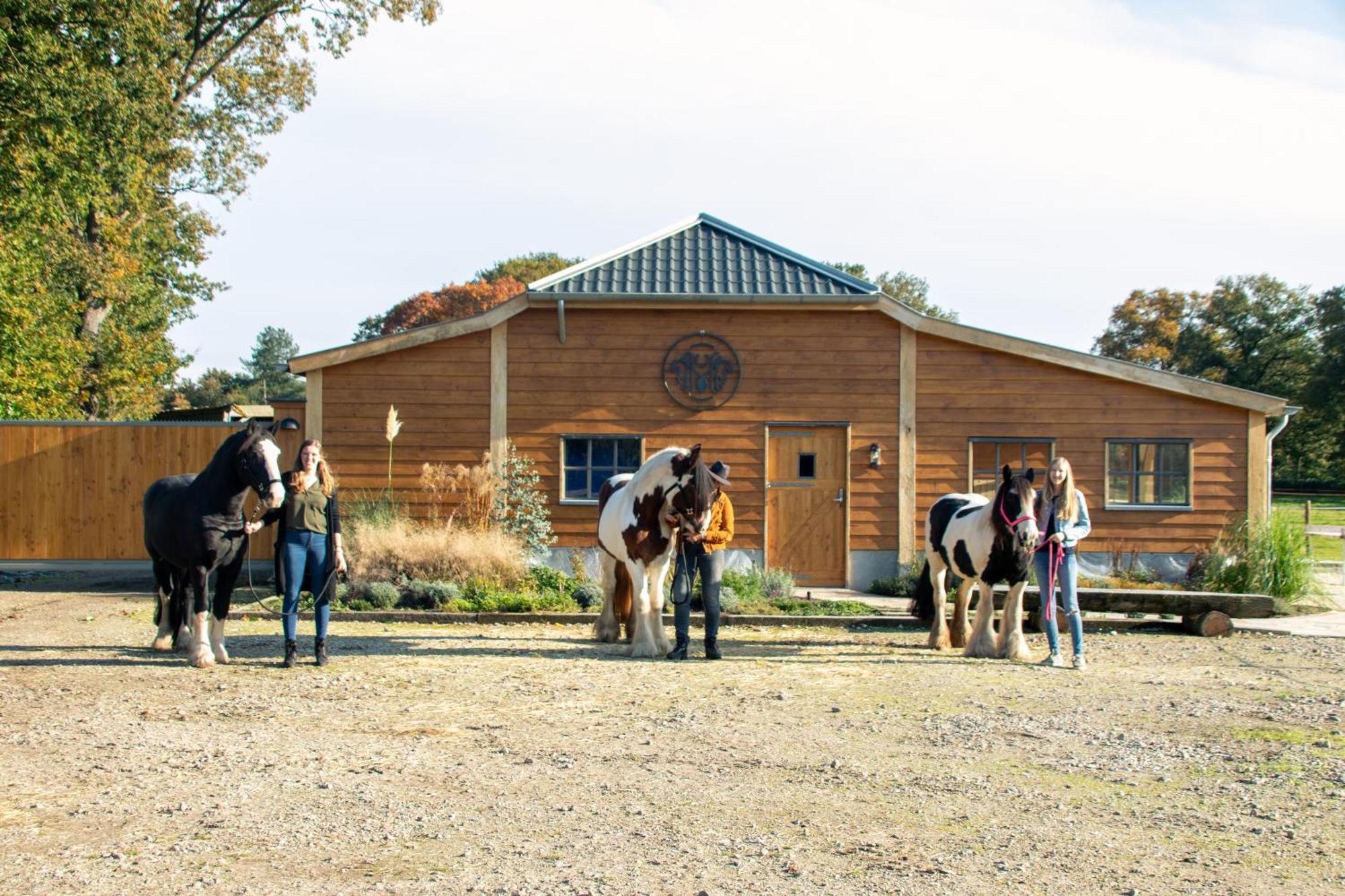 Magnolia Hoeve - Unieke Bestemming Voor Paardenliefhebbers En Bijzondere Overnachtingen In De Natuur Ledeacker 外观 照片