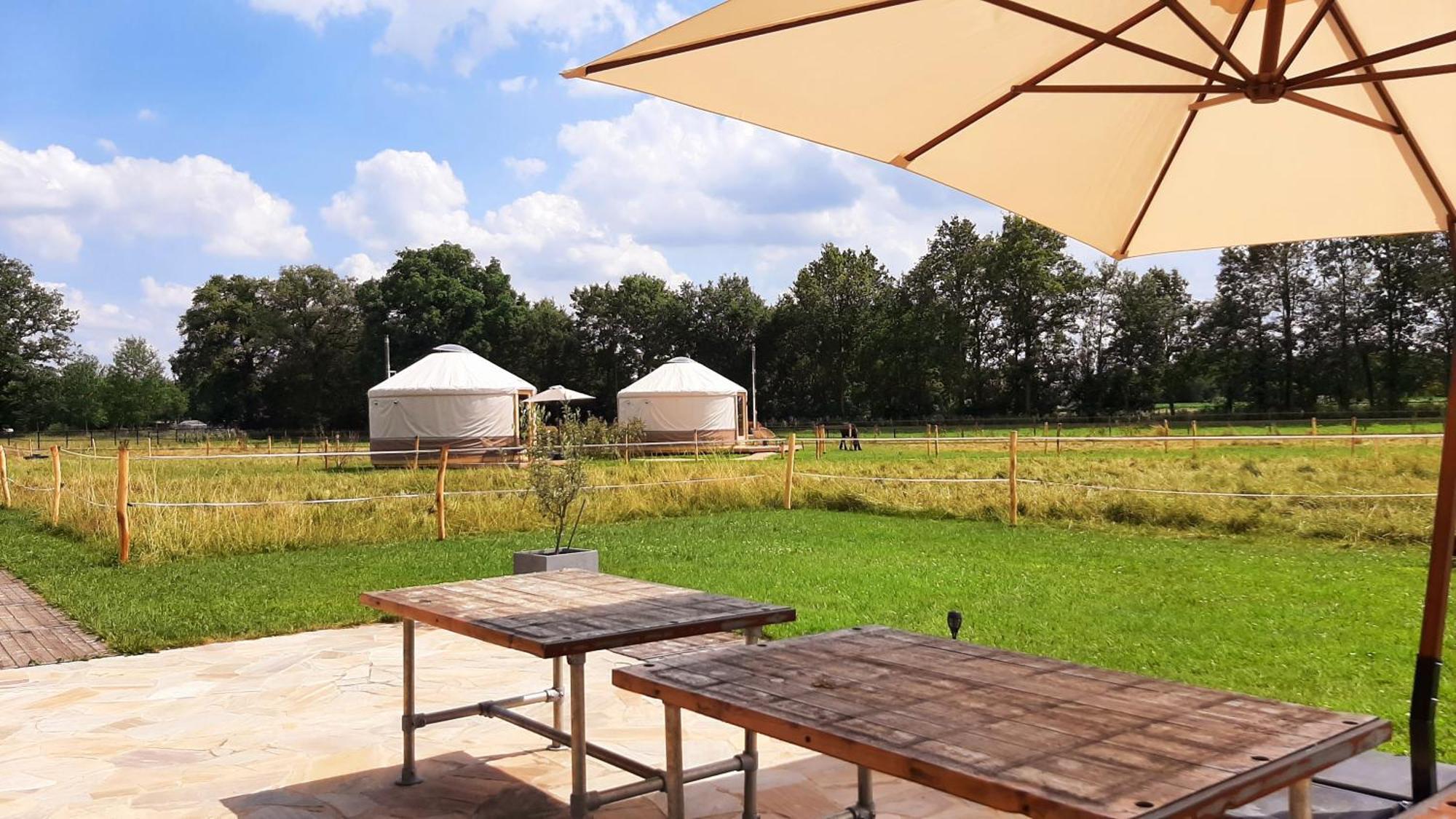 Magnolia Hoeve - Unieke Bestemming Voor Paardenliefhebbers En Bijzondere Overnachtingen In De Natuur Ledeacker 外观 照片