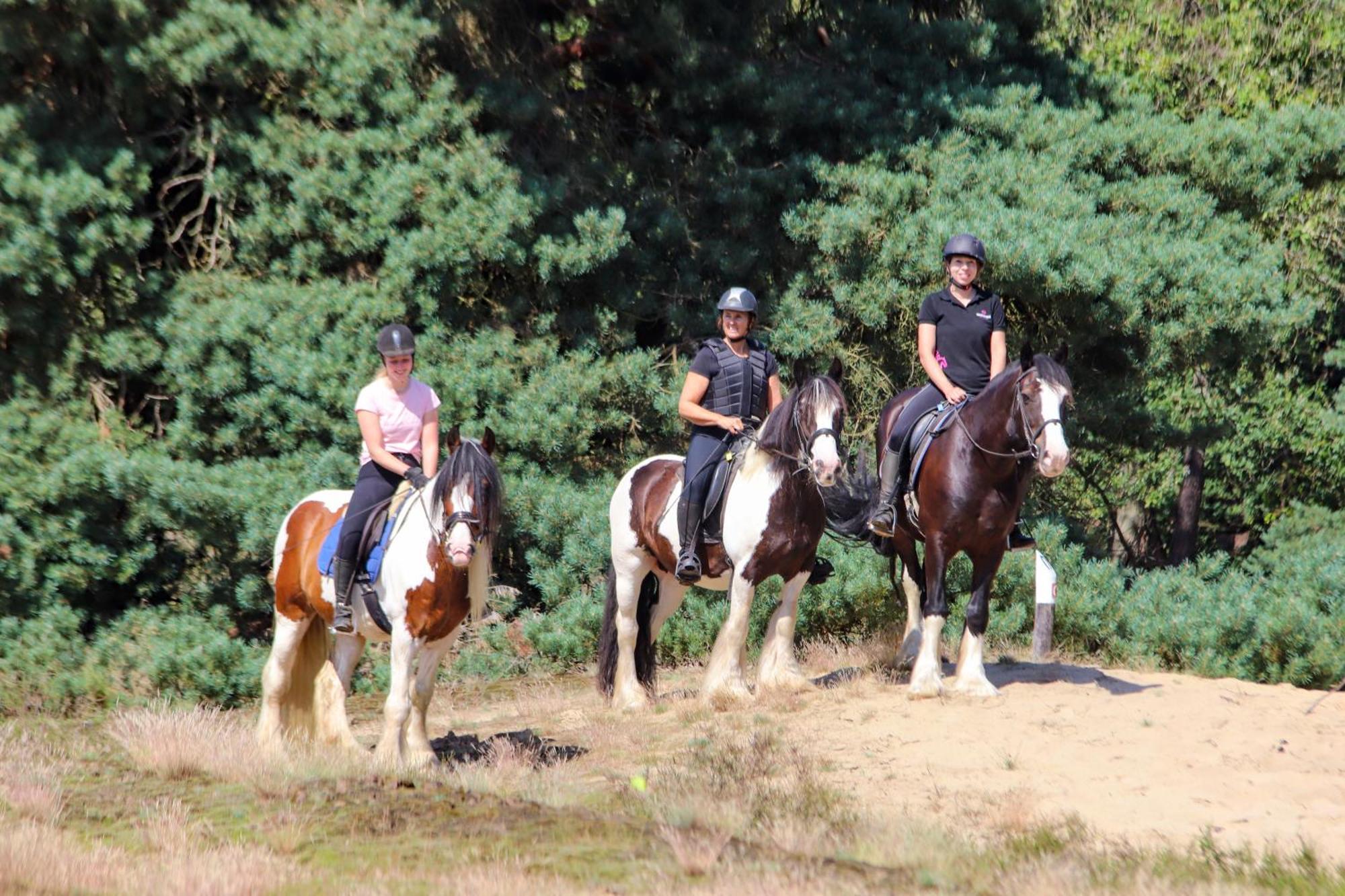 Magnolia Hoeve - Unieke Bestemming Voor Paardenliefhebbers En Bijzondere Overnachtingen In De Natuur Ledeacker 外观 照片