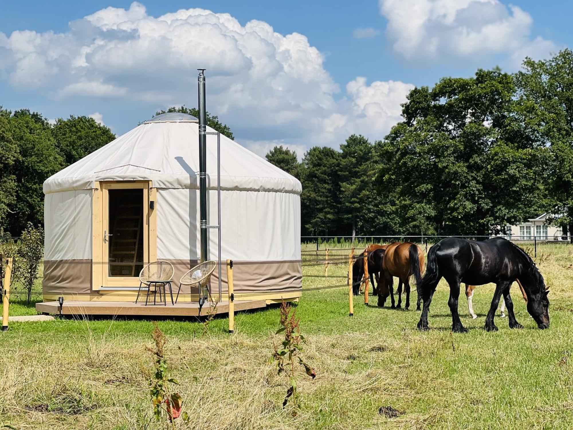 Magnolia Hoeve - Unieke Bestemming Voor Paardenliefhebbers En Bijzondere Overnachtingen In De Natuur Ledeacker 外观 照片