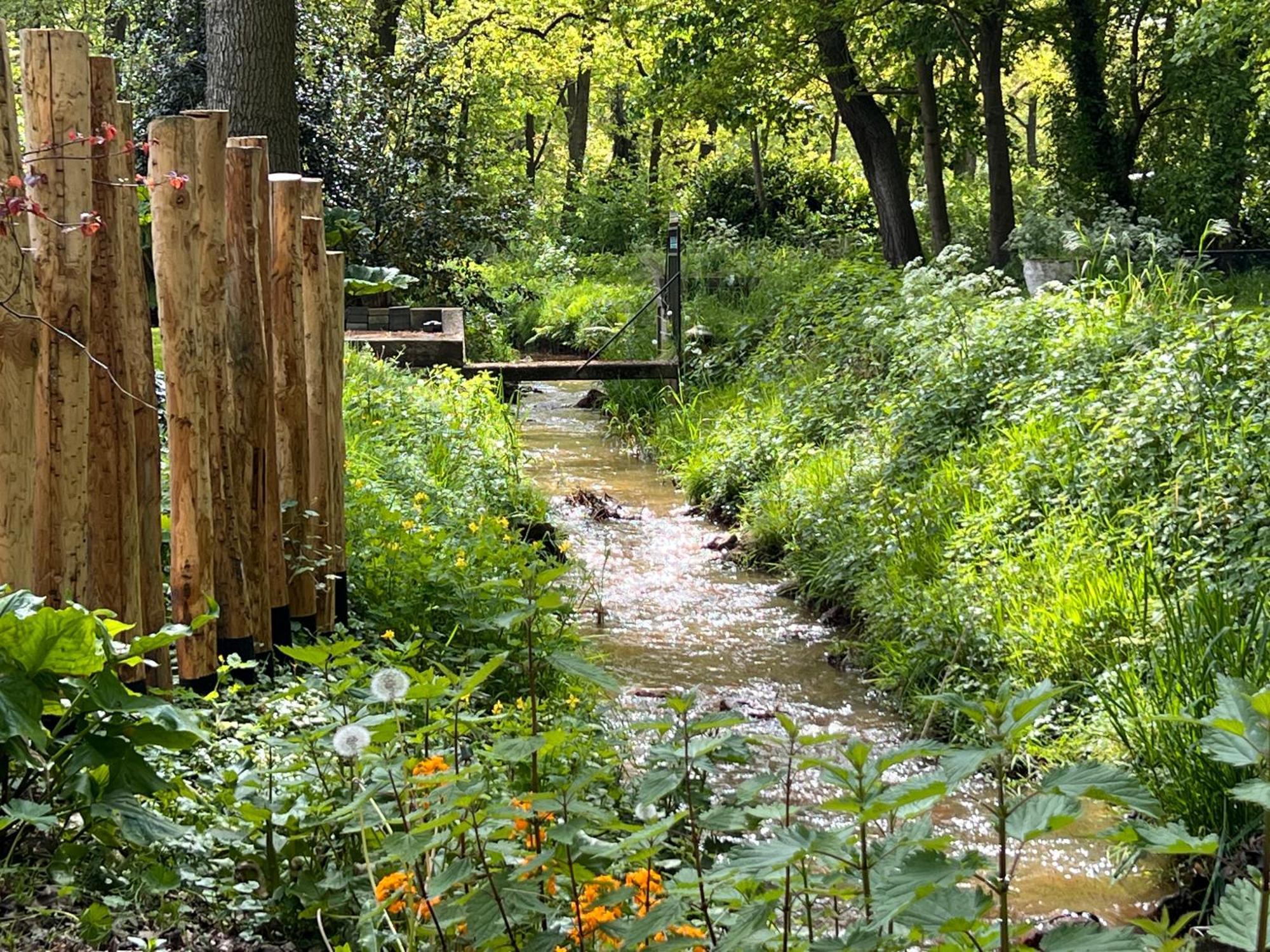 Magnolia Hoeve - Unieke Bestemming Voor Paardenliefhebbers En Bijzondere Overnachtingen In De Natuur Ledeacker 外观 照片